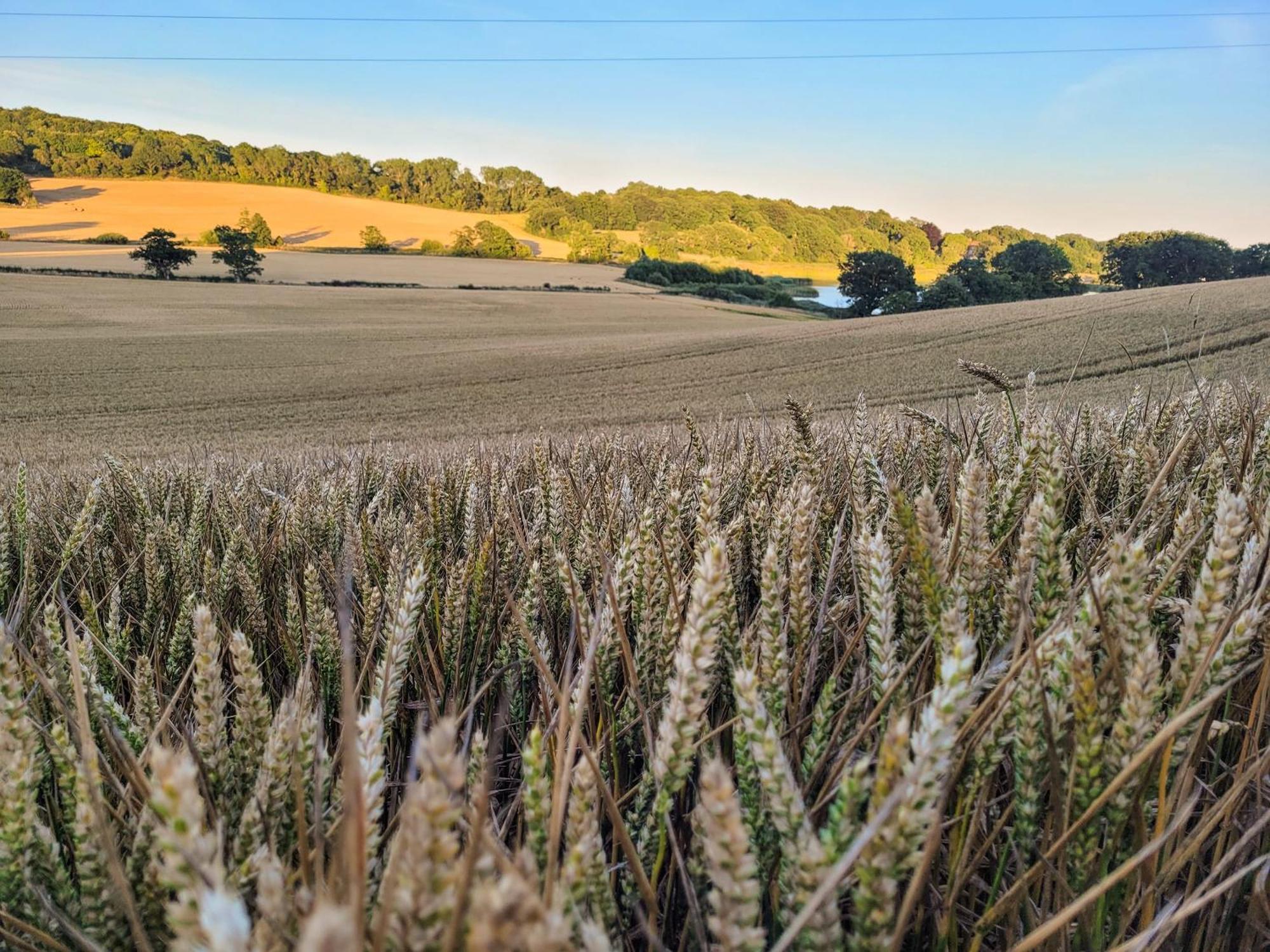 크로우허스트 Hayfield Haven-Uk40691 빌라 외부 사진