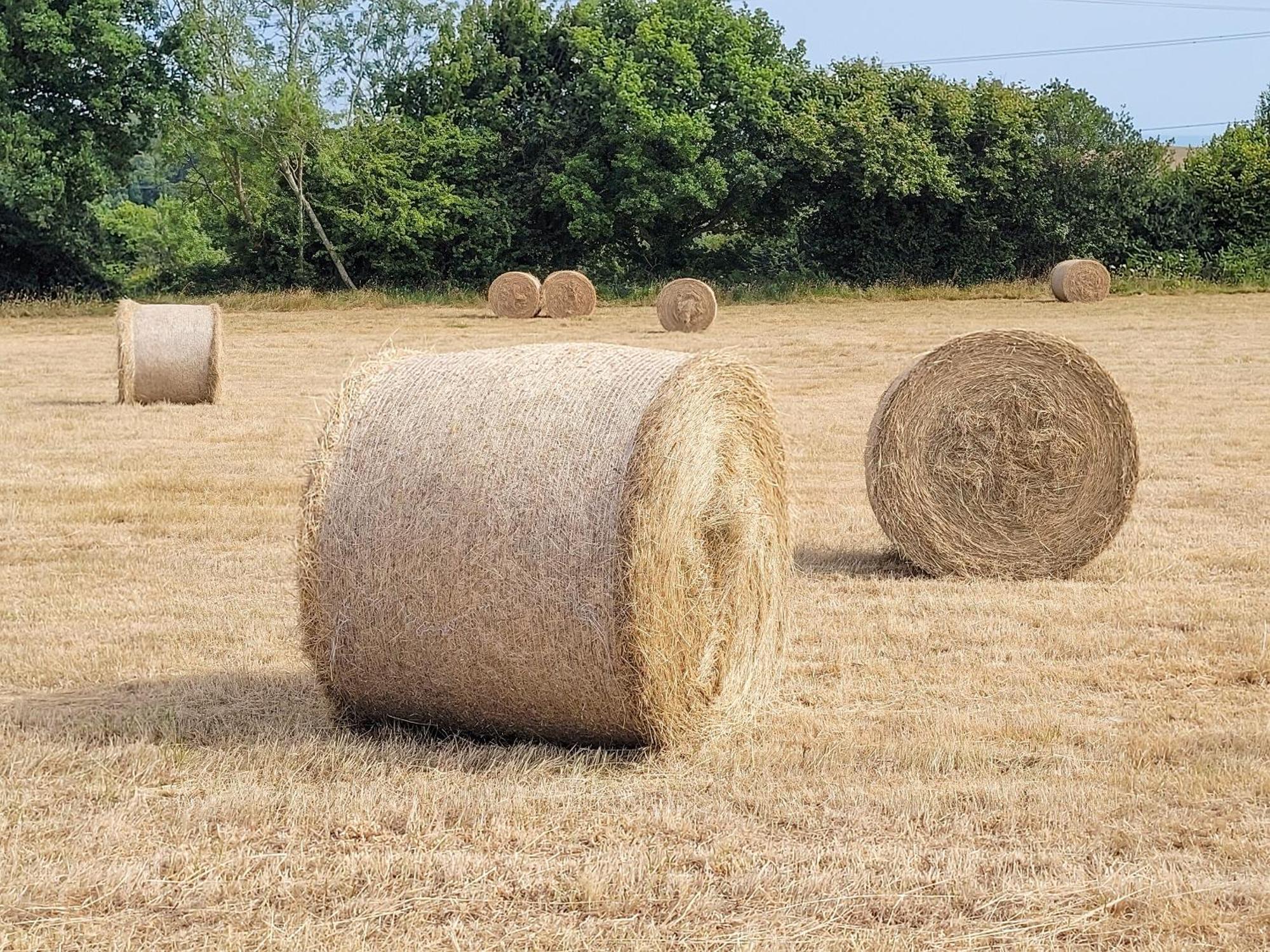 크로우허스트 Hayfield Haven-Uk40691 빌라 외부 사진